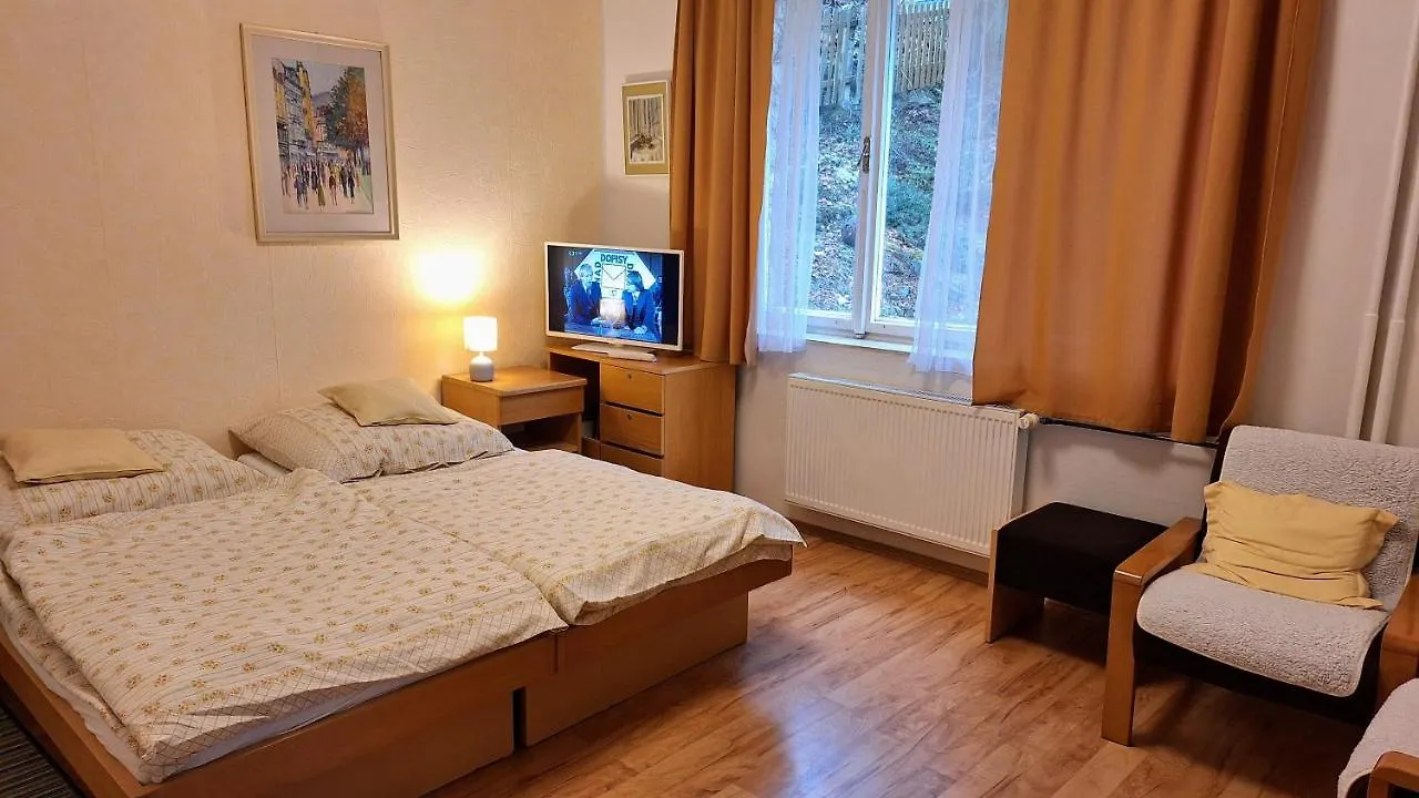 Vila Daniela Karlovy Vary